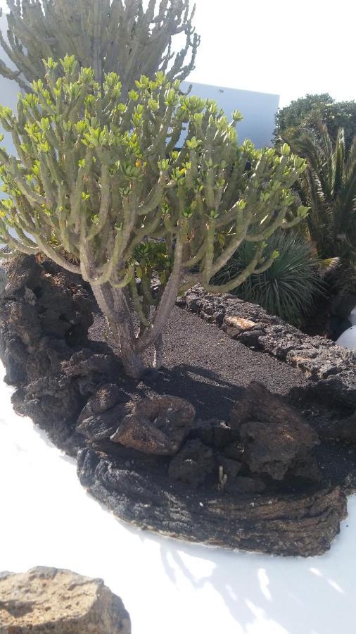 La Casita Ma Petite Folie Tenerife Santa Cruz de Tenerife Esterno foto